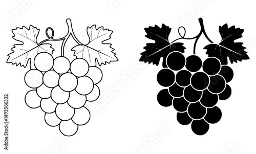 Black and white grape cluster vector illustration