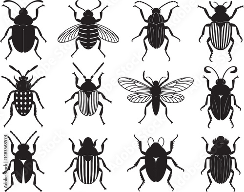 Twelve black silhouettes of various insects bugs