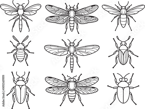 Collection of line art insects bugs beetles flies