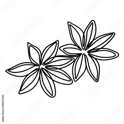 Chinese star anise one line art drawing 