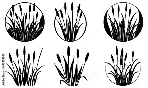 Cattail Silhouette vector illustration