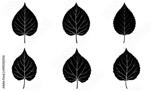 Aspen Leaf Silhouette vector illustration