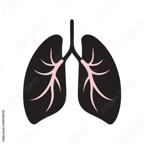 Human Lungs With Full Detail Silhouette