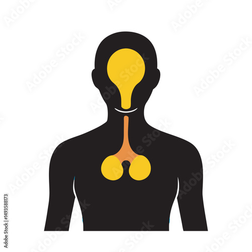 Pituitary Gland In Human Body Silhouette