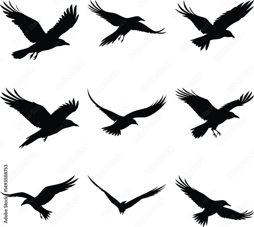 Nine black raven silhouettes are soaring and flying in various poses against a white background Nine black raven silhouettes are soaring and flying in various poses against a white background