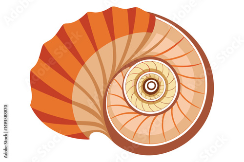 Vector illustration of a nautilus shell showcasing intricate patterns and vibrant orange hues inspired by natural marine life