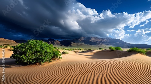 Fototapeta Naklejka Na Ścianę i Meble -  there is a large sand dune in the middle of a desert