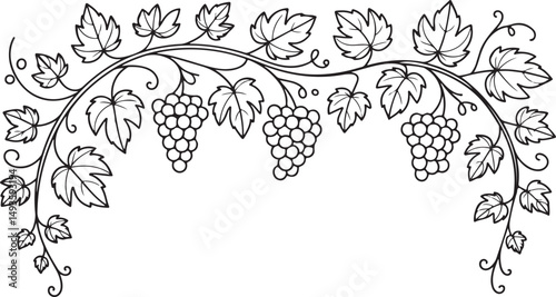 Branch with grape silhouette illustration black and white minimalist art design half love shape