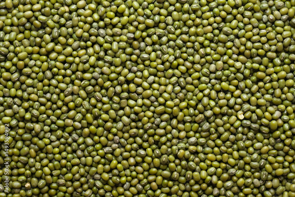 Mung Bean Mung Bean