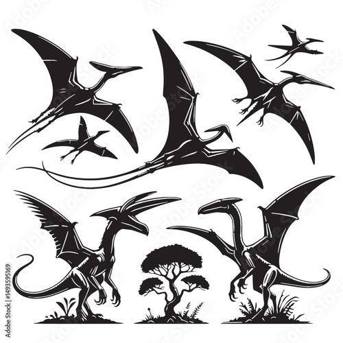 Black Color Pteranodon Silhouette Vector Illustration, Solid White Background. minimal vector design