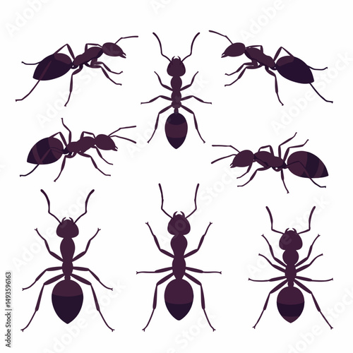 Ant silhouettes different poses, colony insects, ant family
