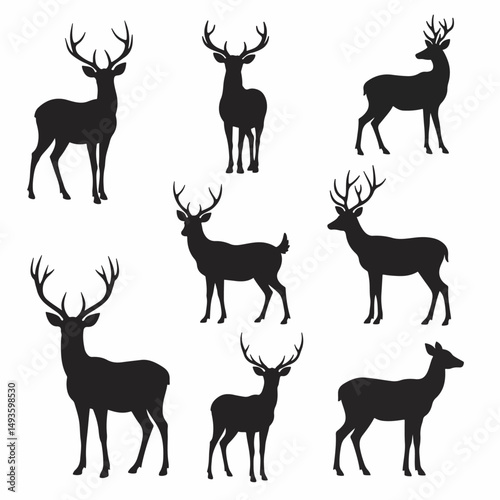 Deer silhouette set, wildlife animal concepts
