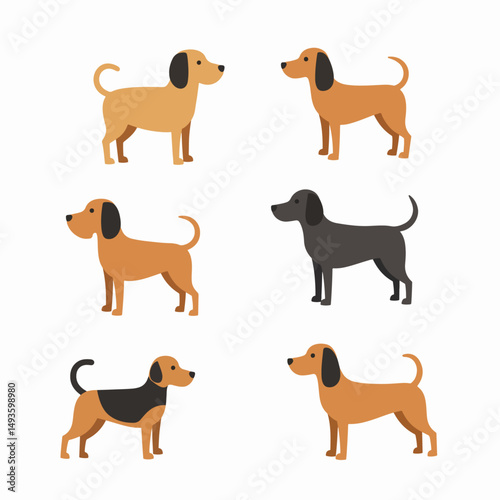 Dogs collection, animals pets, various colors breeds