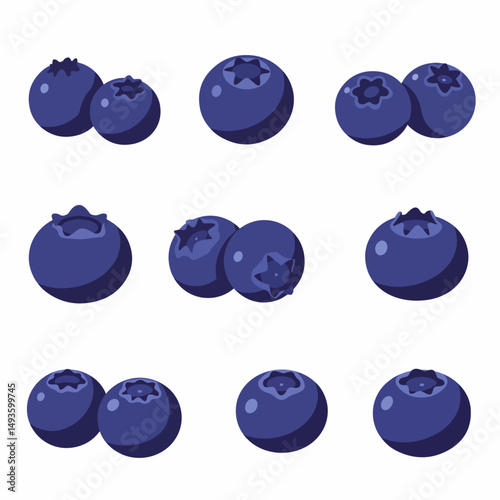Fresh blueberry fruit food group, flat style
