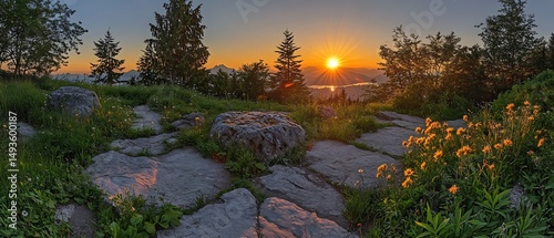 Mountaintop Sunrise with Wildflowers
