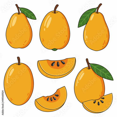 Loquat fruit collection food set element
