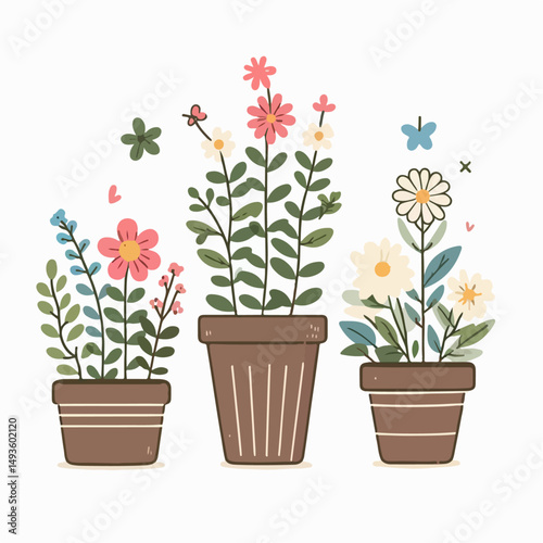 flowers in pots
