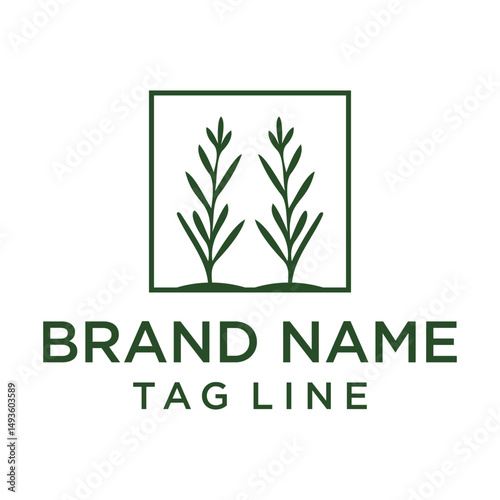 Contemporary green logo with minimalist illustrations of two symmetrical plant forms enclosed in a square. Represents natural growth, balance, and organic elements. 