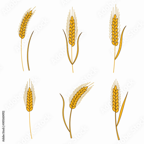 Wheat stalks agriculture grain harvest food crop