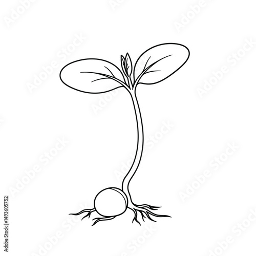 Little seedling sprout cute cartoon outline line art illustration. Gardening farming agriculture coloring book page activity worksheet for kids