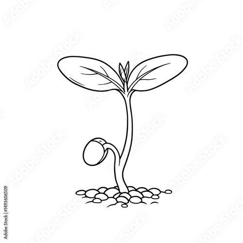 Little seedling sprout cute cartoon outline line art illustration. Gardening farming agriculture coloring book page activity worksheet for kids