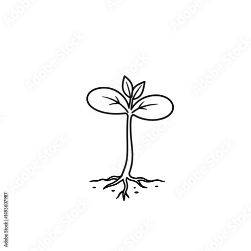 Little seedling sprout cute cartoon outline line art illustration. Gardening farming agriculture coloring book page activity worksheet for kids