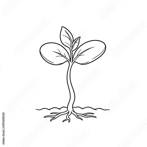 Little seedling sprout cute cartoon outline line art illustration. Gardening farming agriculture coloring book page activity worksheet for kids