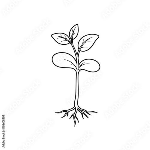 Little seedling sprout cute cartoon outline line art illustration. Gardening farming agriculture coloring book page activity worksheet for kids