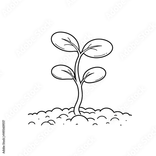 Little seedling sprout cute cartoon outline line art illustration. Gardening farming agriculture coloring book page activity worksheet for kids