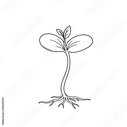 Little seedling sprout cute cartoon outline line art illustration. Gardening farming agriculture coloring book page activity worksheet for kids