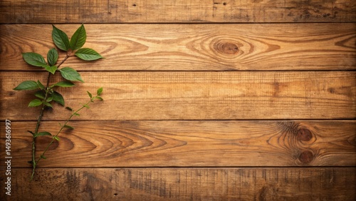 Rustic Wooden Plank Backgro...