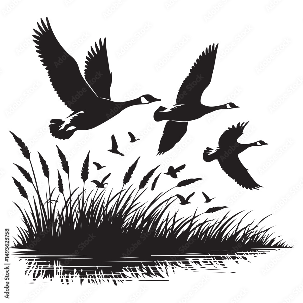 Obraz premium Flying Canada Geese Silhouette over Marshland Vector Illustration