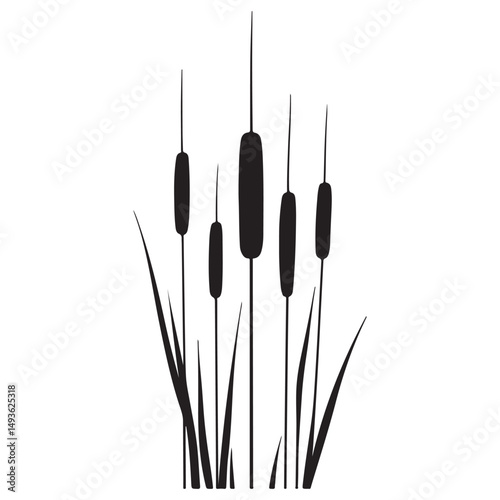 Silhouette Cattails Vector Illustration for Graphic Design Projects
