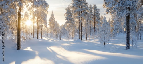 Wallpaper Mural Winter sunrise in snowy forest nature photography tranquil landscape Torontodigital.ca