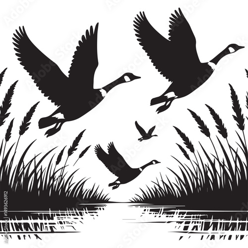Geese Silhouette Flying Over Water Marsh Bird Wildlife Scene Vector