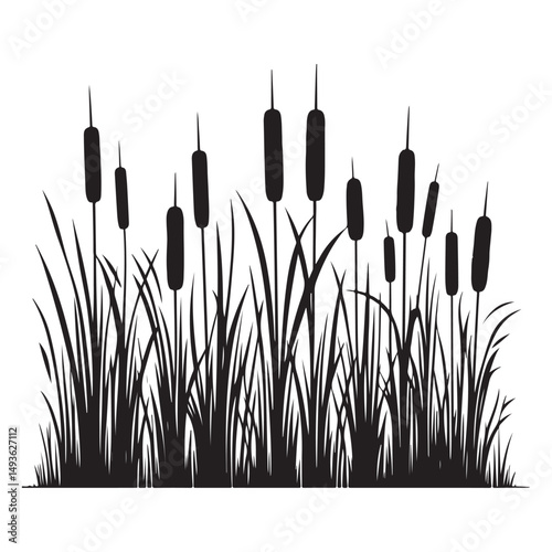 Marshland Reeds Silhouette Vector Illustration Nature and Wetland Plants