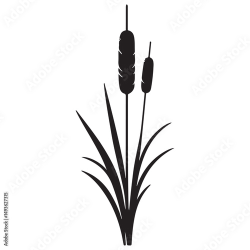 Cattail Reeds Silhouette Illustration Vector Design Nature