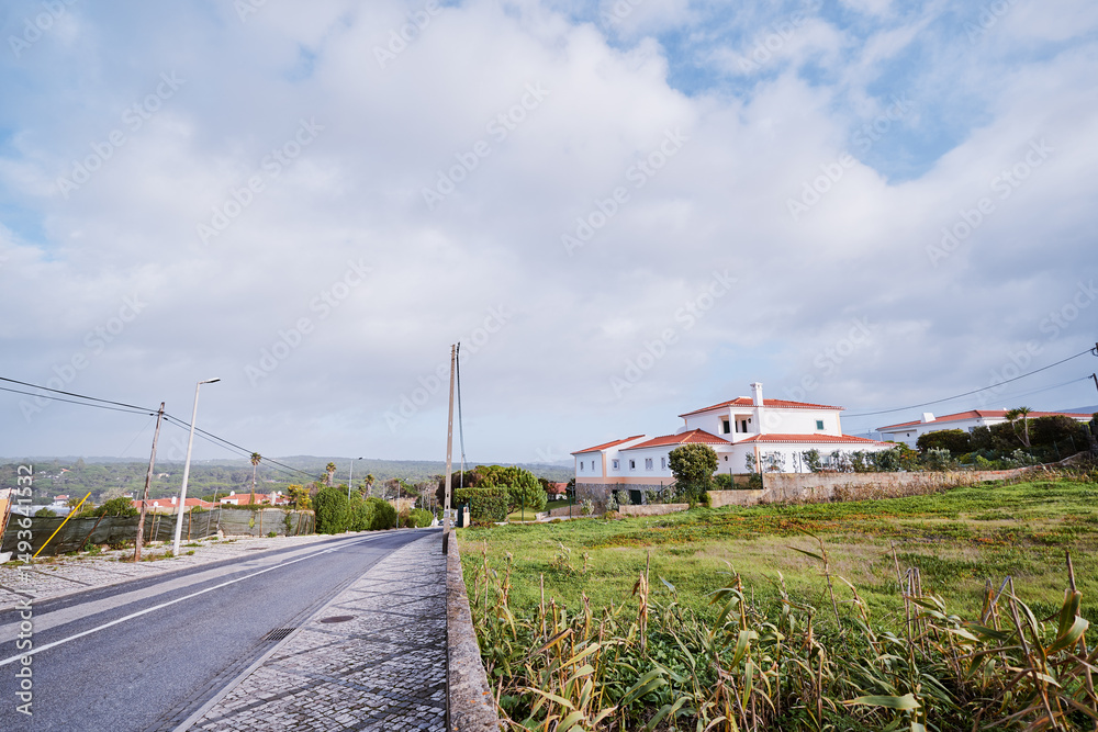 Obraz premium A rural road with a sidewalk, bordered by a grassy field and houses under a cloudy sky.
