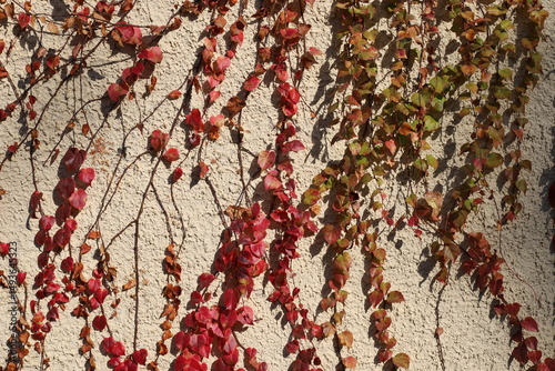 Stone and concrete wall in the city park