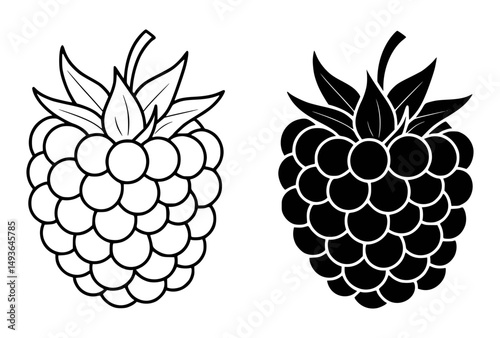 Vector illustration of raspberry outline with black and white options