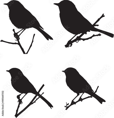 This artwork is digitally enhanced using AI and manually edited for quality. A set of four bird silhouettes perched on tree branches.