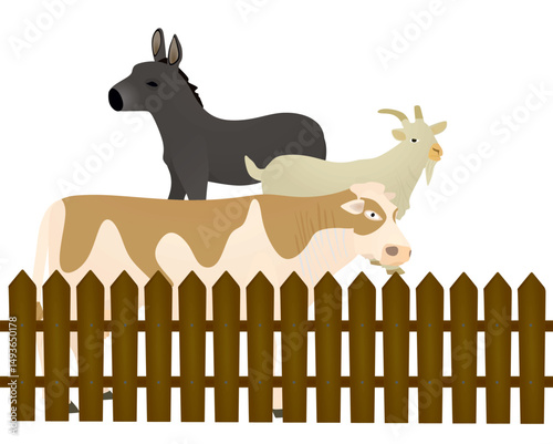 Domestic animals behind wooden fence. vector illustration