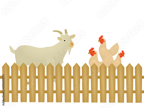 Domestic animals behind wooden fence. vector illustration