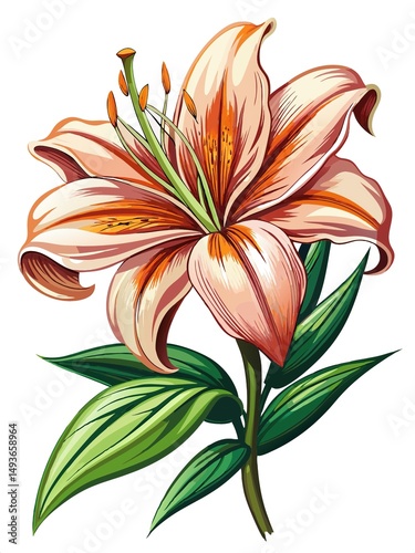 Vibrant illustration of a tiger lily with detailed petals and leaves