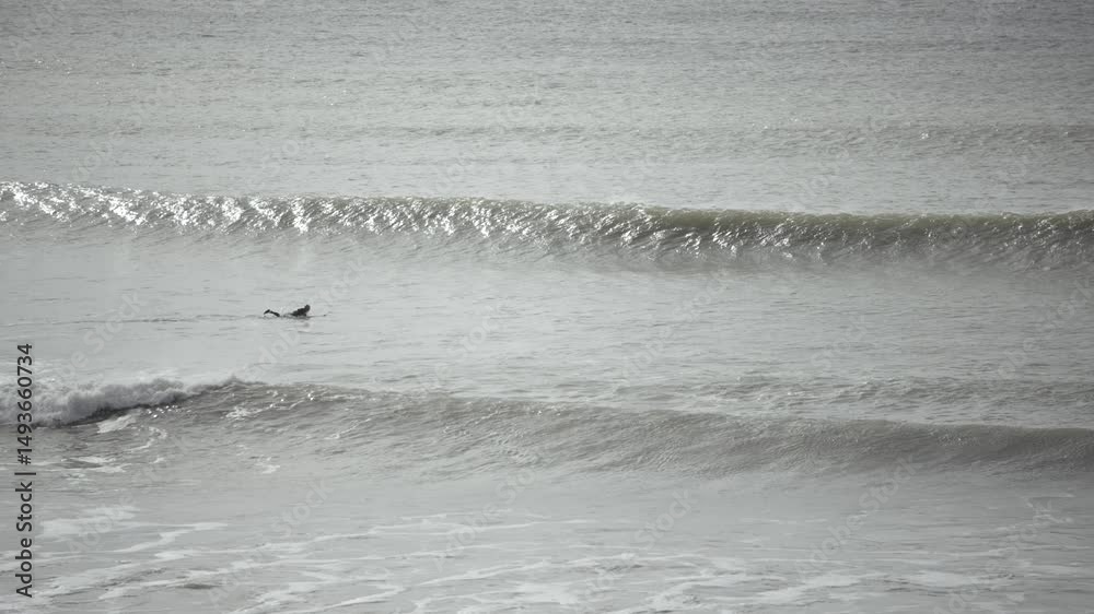 A surfer is riding a wave in the ocean. The water is choppy and the sk