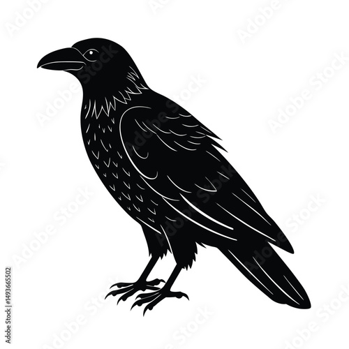 Common Raven vector silhouette