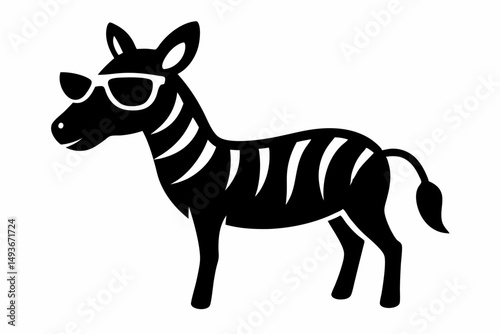 zebra isolated on white background