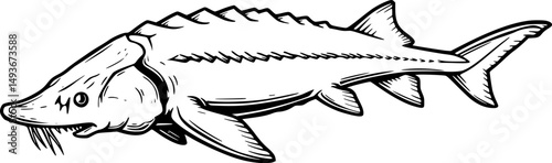 lake sturgeon line art silhouette vector illustration
