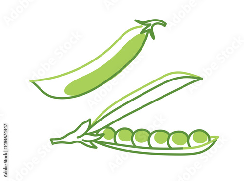 Green Peas Flat vector illustration. Opened pea pod isolated on white background