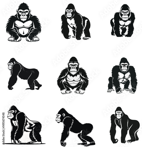 Nine gorilla silhouettes strong powerful primates
